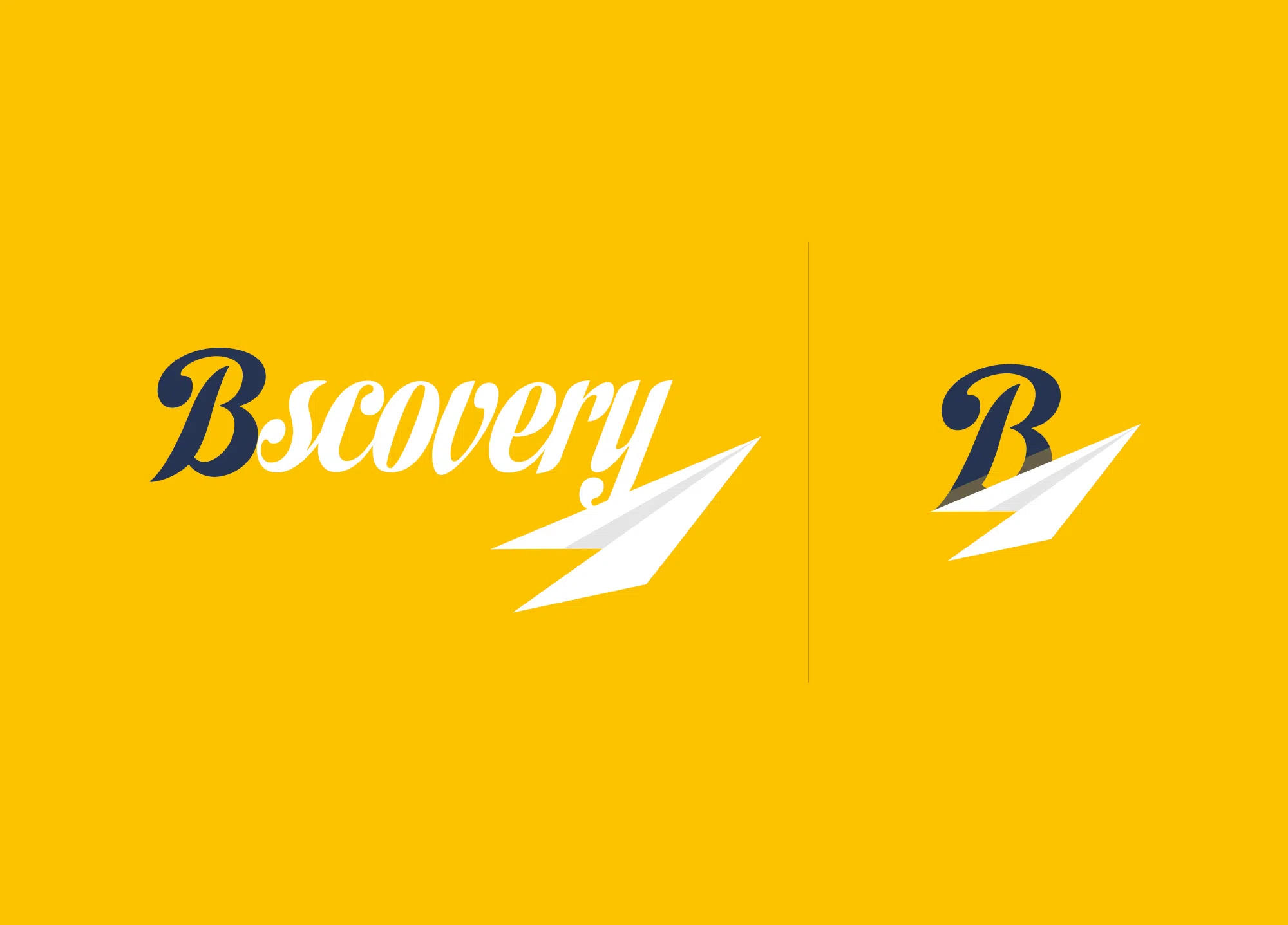 Logo bscovery