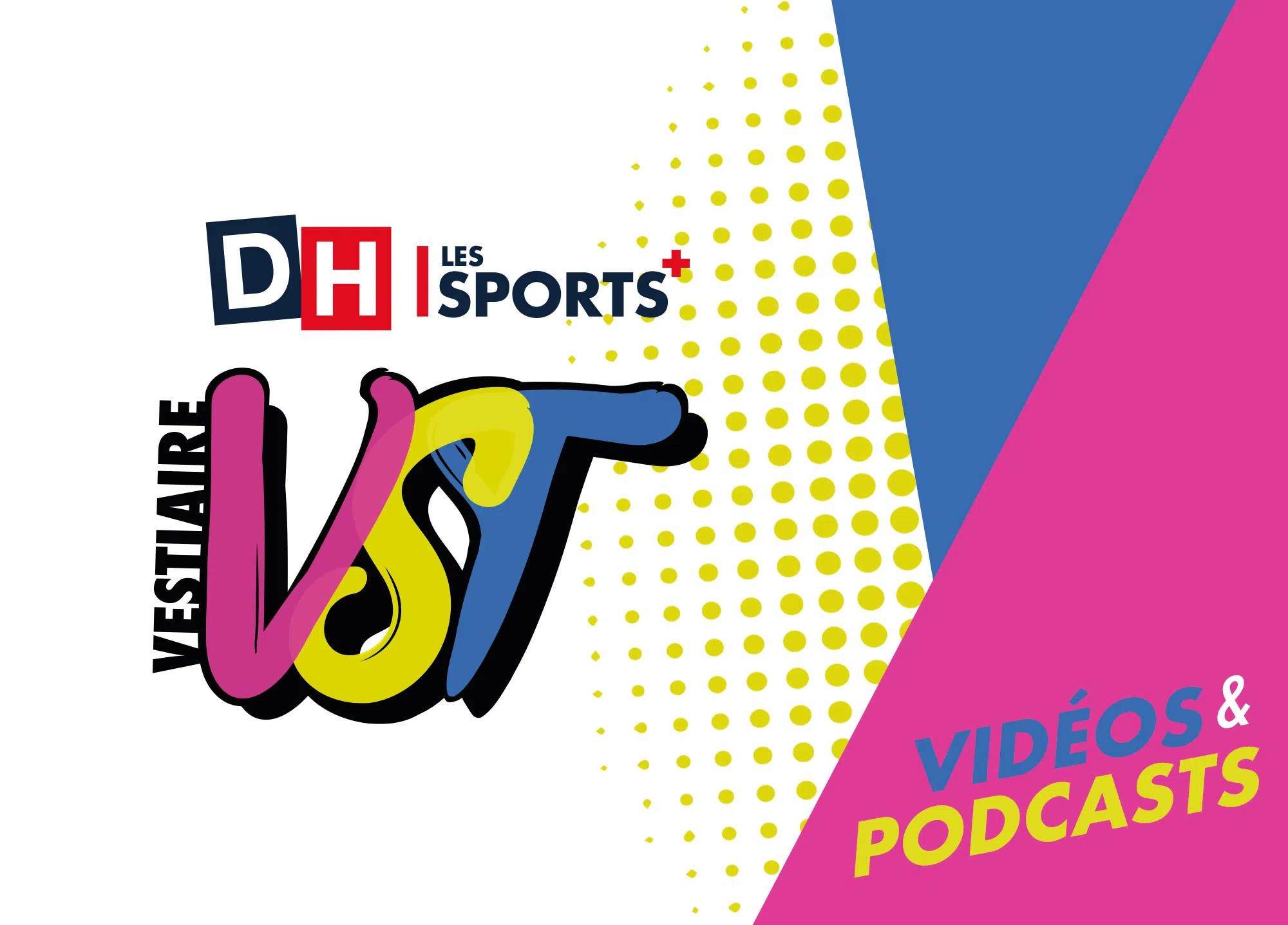 Logo VST DH les sports